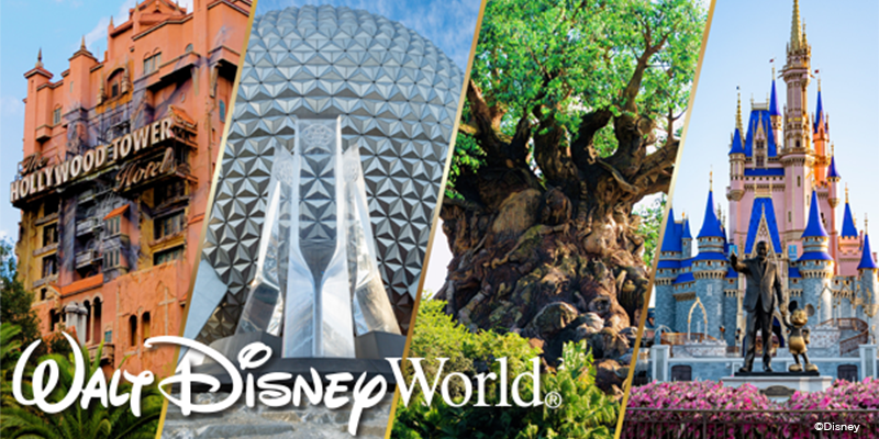 Walt Disney World® Resort - Disney Student Tickets